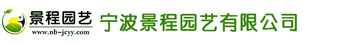 梅州市騰云電梯工程有限公司